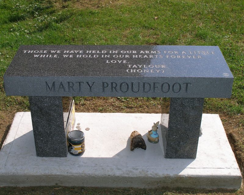 Mary Proudfoot Bench Memorial for Home Park or Cemetery