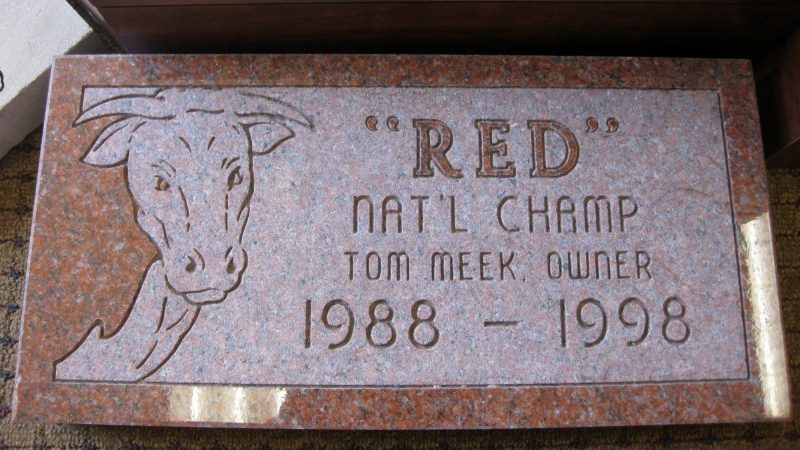 Cow National Champ Marker